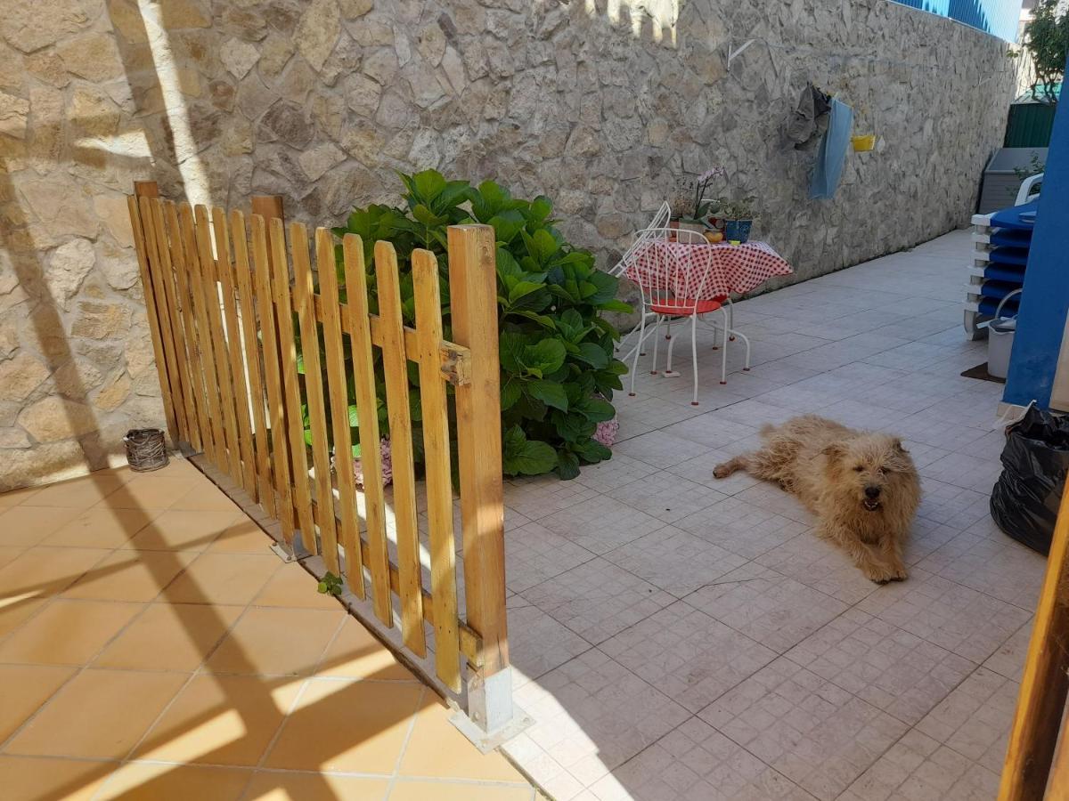إيريسييرا Villa Alegria المظهر الخارجي الصورة
